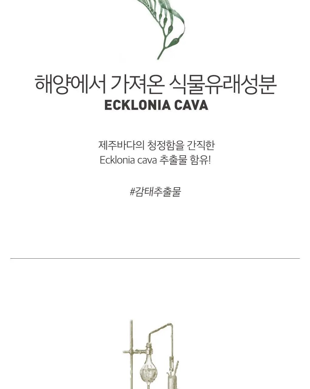 [잇몸케어] 루치펠로 트로피칼오션 치약 100g 상세페이지 7